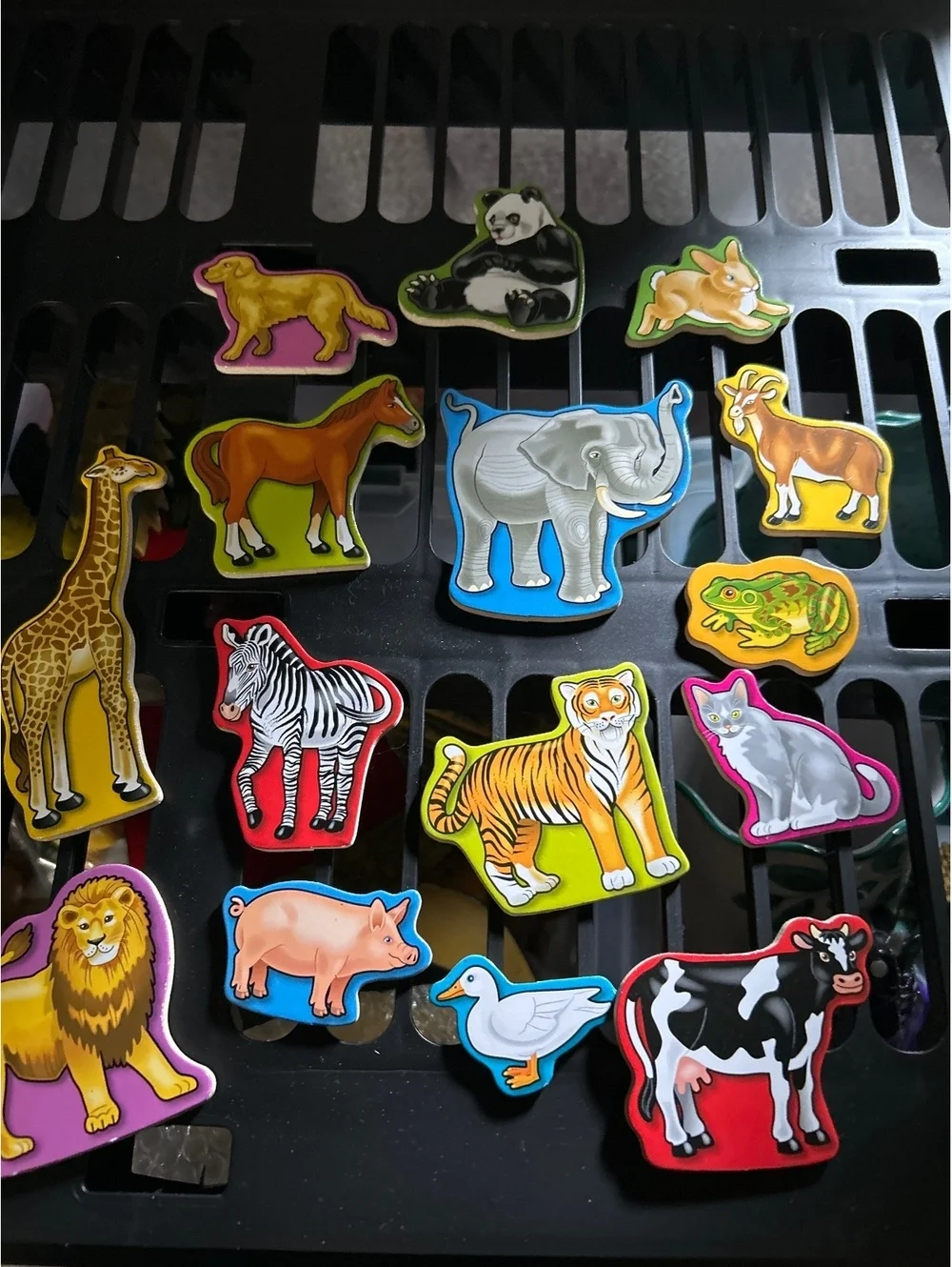 Set of 15 Colorful Animal Magnet Toys for Kids